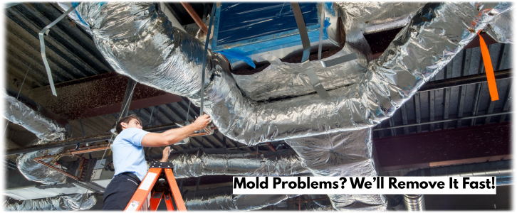 Air Duct Mold Removal in Athens GA